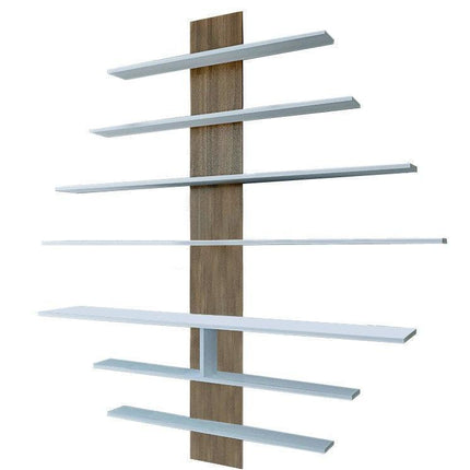 TV szekrény Zebra - White, Walnut-VASBÚTOR
